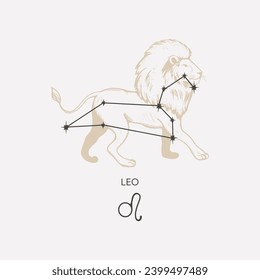 Leo constellation vector illustration. Leo constellation astrological drawing