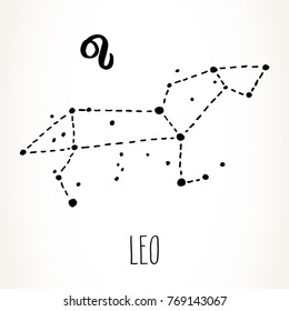 Leo hand drawn Zodiac sign constellation in black isolated over white background. Vector graphics astrology illustration. Western horoscope mystic symbol.