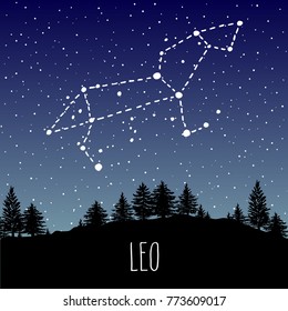 Leo hand drawn Zodiac sign constellation in a starry night sky over the coniferous forest. Vector graphics astrology illustration. Western horoscope mystic symbol in nature.