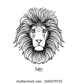 Leo, lion Zodiac sign. Astrological horoscope collection. Outline vector illustration. Outline hand drawing coloring page for the adult coloring book. 