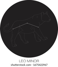 Vector de constelación menor Leo en fondo negro