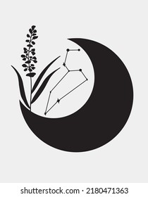 Leo stars constellation, simple vector art. Black moon with simple plant.