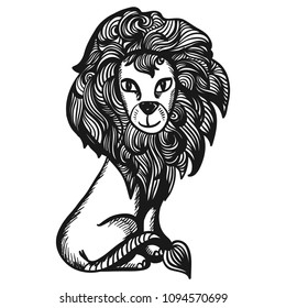 Leo. Vector illustration