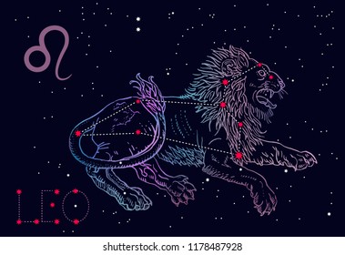 Leo zodiac sign and constellation. Lying lion on a cosmic blue background with stars. Horoscope astrology, astronomy, fantasy, mythology. Vintage engraving tattoo style hand drawn vector illustration.