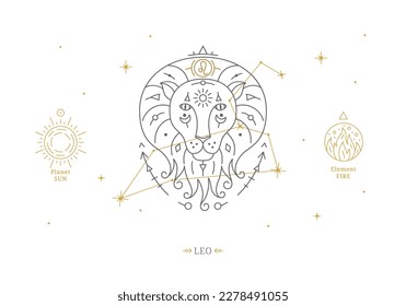 Señal de Leo Zodiac con descripción de características personales. Tarjeta de horoscopio astrológico con constelación zodiaca sobre fondo blanco ilustración vectorial de línea delgada