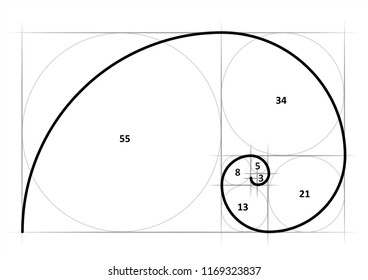 Leonardo da Vinci day. Golden ratio template spiral. Fun vector Circles in golden proportion icon or sign. Gometric or symmetry spiral logo. Drawing physics or math formula code grid Divine Proportion