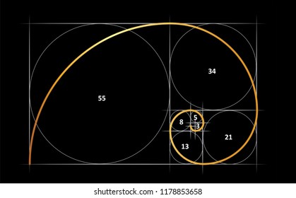 Leonardo da Vinci day. Golden ratio template spiral. Fun vector Circles in golden proportion icon or sign. Gometric or symmetry spiral logo. Drawing physics or math formula code grid Divine Proportion