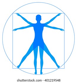 Leonardo Da Vinci Vetruvian Man, human anatomy