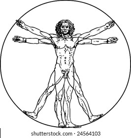 Leonardo da Vinci's vitruvian man in vector