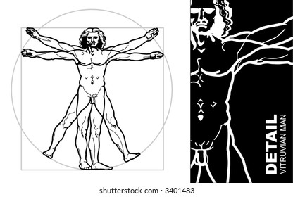 Leonardo's Vitruvian Man (vector)