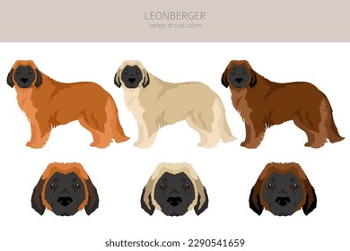 Leonberger clipart. Different poses, coat colors set.  Vector illustration