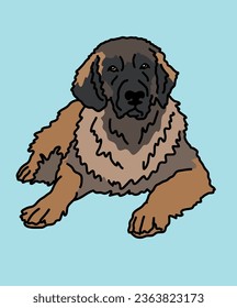 Leonberger Dog Breed Lying Down