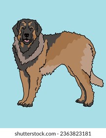 Leonberger Dog Standing Side View