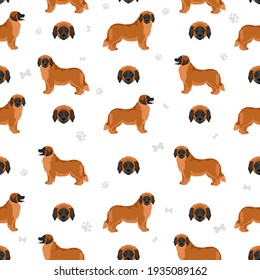 Leonberger seamless pattern. Different poses, coat colors set.  Vector illustration