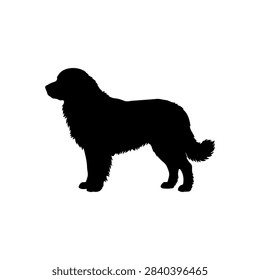Leonberger silhouette vector flat design on white background.
