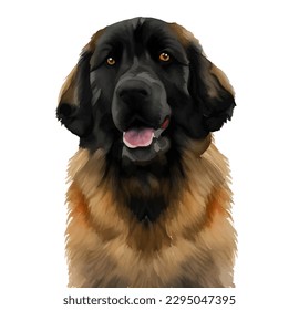 leonberger with style hand drawn watercolor digital painting illustration