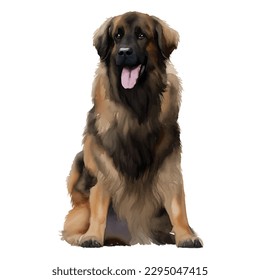 leonberger with style hand drawn watercolor digital painting illustration