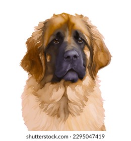 leonberger with style hand drawn watercolor digital painting illustration