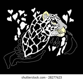 leopard