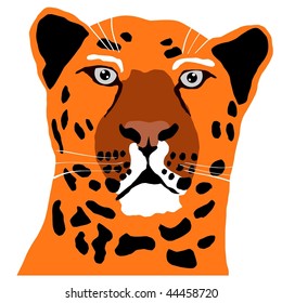 leopard