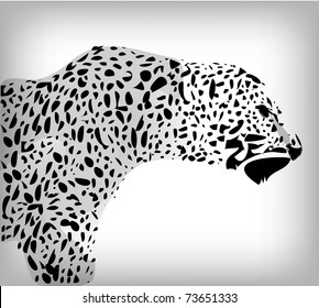 Leopard abstract background