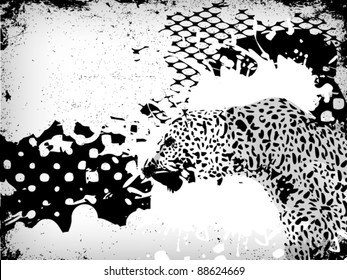 Leopard abstract background