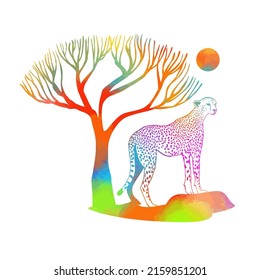 Leopard in Africa is colored. Vector illustration