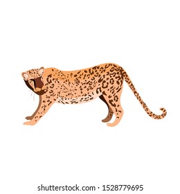 Leopard African wild cat. A new element of design