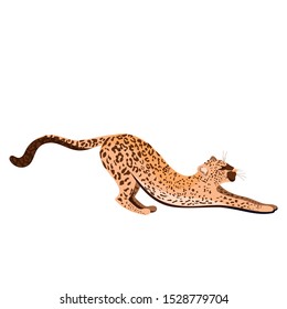 Cheetah Wild African Animal Vector Sketch Stock Vector (Royalty Free ...