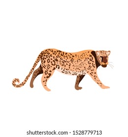 Leopard African wild cat. A new element of design