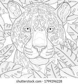 
Leopard among tropical leaves.
Animal.Coloring book antistress for children and adults. Illustration isolated on white background.Black and white drawing.Zen-tangle style.