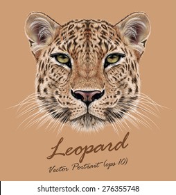 Leopard animal face. Vector African, Asian wild cat head portrait. Realistic fur portrait of exotic leopard isolated on beige background.