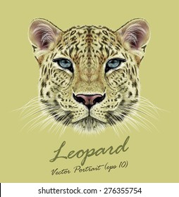 Leopard animal face. Vector African, Asian wild cat head portrait. Realistic fur portrait of exotic leopard isolated on yellow background.