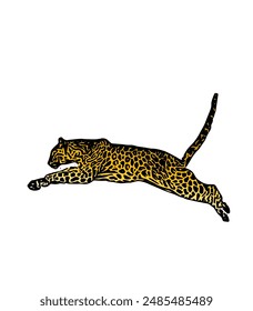 Leopard, animal ilustration vector design, for logo, icon, template, mascot , educational 