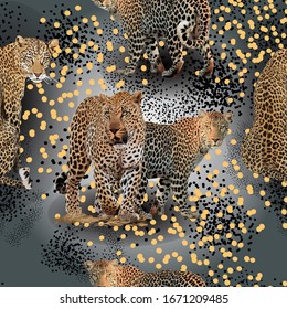 Leopard animals design, 
scattered gold dotted backdrop