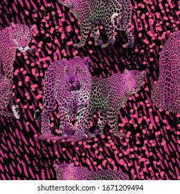 Leopard animals design, 
scattered gold dotted backdrop