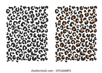 Leopard background pattern Leopard animal skin isolated on white background