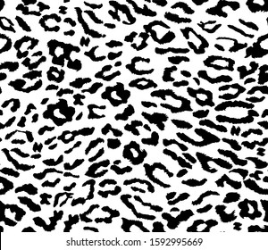 Leopard background. Seamless pattern.Animal print. 