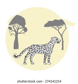Leopard between savanna trees. Vector Illustration