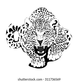 Leopard in black interpretation