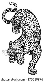 leopard black and white tattoo illustration