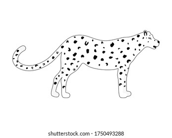 Leopard black and white vector. Wild animal print illustration isolated on white background