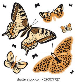 leopard butterfly set vector illustration