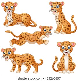Leopard cartoon set collection