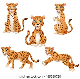 Leopard cartoon set collection