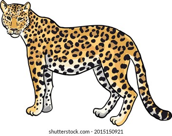 leopard cartoon vector image isolated