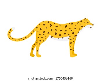 Vector de dibujos animados Leopard. Ilustración de huellas animales salvajes aisladas en blanco