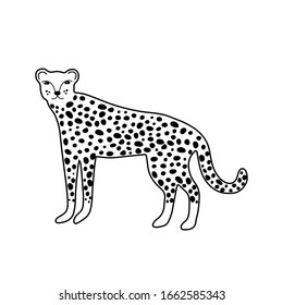 Leopard cheetah character design  Cute cartoon animal vector illustration  Abstract icon for baby posters  art prints  fashion apparel stickers 