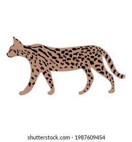 Leopard or cheetah exotic animal.  Cute cartoon character. Vector wild cat  isolated on white background. Perfect for kids app, game, book, print, cards, sticker.