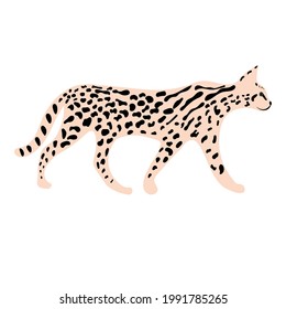 Leopard or cheetah exotic animal.  Cute cartoon character. Vector wild cat  isolated on white background. Perfect for kids app, game, book, print, cards, sticker.